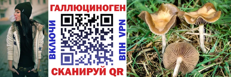 Галлюциногенные грибы Cubensis  мега зеркало  Балахна 
