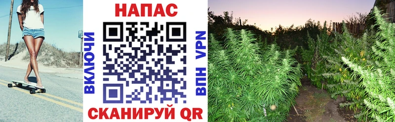 Каннабис VHQ Балахна